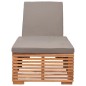 vidaXL Tumbona con cojín madera maciza de teca gris oscuro