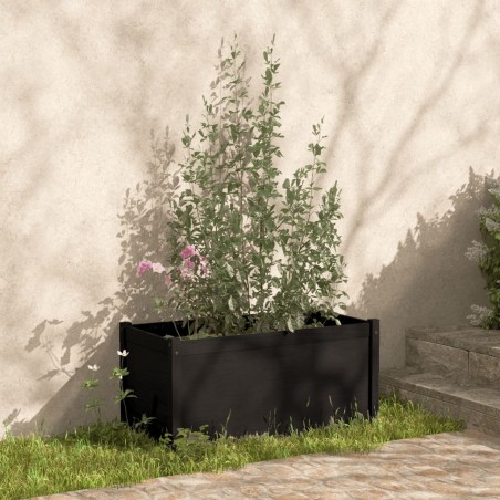 vidaXL Jardinera de madera maciza de pino negro 100x50x50 cm