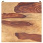 vidaXL Mesa auxiliar de madera maciza de sheesham 60x60x40 cm vidaXL Mesa auxiliar de madera maciza de sheesham 60x60x40 cm