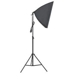 vidaXL Lámpara de estudio profesional 60x40 cm 