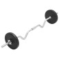 vidaXL Juego de barras y pesas 30 kg vidaXL Juego de barras y pesas 30 kg