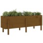 vidaXL Arriate elevado de jardín madera pino marrón miel 160x50x57 cm vidaXL Arriate elevado de jardín madera pino marrón miel 160x50x57 cm