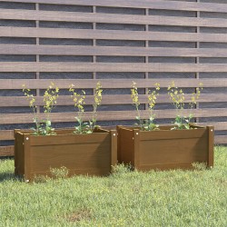 vidaXL Jardineras 2 uds madera maciza de pino marrón miel 60x31x31 cm