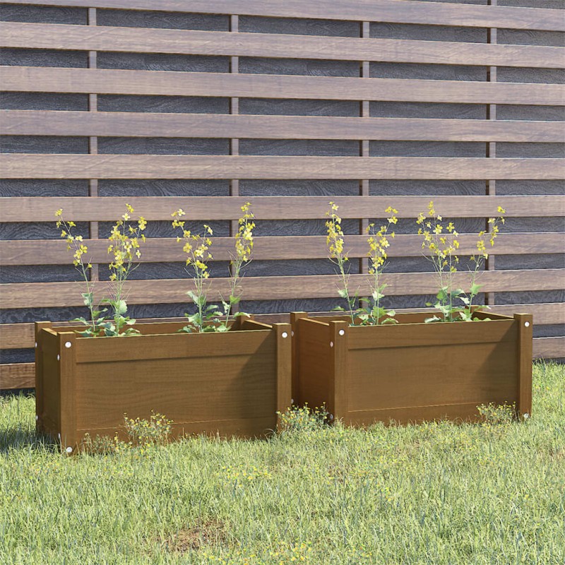 vidaXL Jardineras 2 uds madera maciza de pino marrón miel 60x31x31 cm