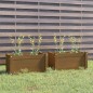 vidaXL Jardineras 2 uds madera maciza de pino marrón miel 60x31x31 cm