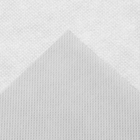 Nature Cubierta plantas invierno con cremallera blanco 2,5x2x2 m