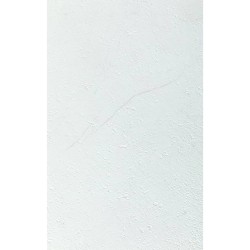 Grosfillex Baldosa de pared Gx Wall+ blanco piedra 30x60 cm 11 uds