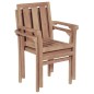 vidaXL Sillas apilables de jardín 2 unidades madera maciza de teca vidaXL Sillas apilables de jardín 2 unidades madera maciza de teca