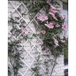 Nature Enrejado de jardín 50x150 cm PVC blanco 6040701 Nature Enrejado de jardín 50x150 cm PVC blanco 6040701