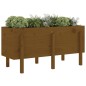 vidaXL Arriate elevado de jardín madera pino marrón miel 121x50x57 cm