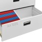 vidaXL Armario archivador de acero gris claro 90x46x103 cm
