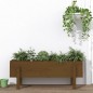 vidaXL Arriate elevado de jardín madera pino marrón miel 101x30x38 cm vidaXL Arriate elevado de jardín madera pino marrón miel 101x30x38 cm