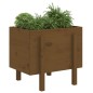 vidaXL Jardinera de madera maciza de pino marrón miel 62x50x57 cm vidaXL Jardinera de madera maciza de pino marrón miel 62x50x57 cm
