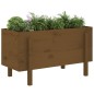 vidaXL Arriate elevado de jardín madera pino marrón miel 101x50x57 cm vidaXL Arriate elevado de jardín madera pino marrón miel 101x50x57 cm