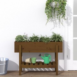 vidaXL Arriate elevado de jardín madera pino marrón miel 101x30x69 cm