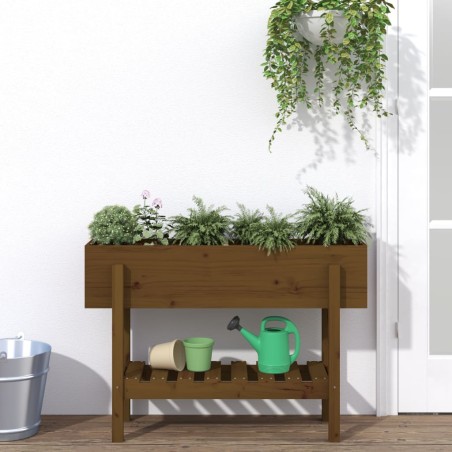 vidaXL Arriate elevado de jardín madera pino marrón miel 101x30x69 cm