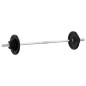 vidaXL Juego de barra con discos 30 kg hierro fundido vidaXL Juego de barra con discos 30 kg hierro fundido