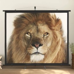 vidaXL Pantalla de proyección con trípode 90" 4:3