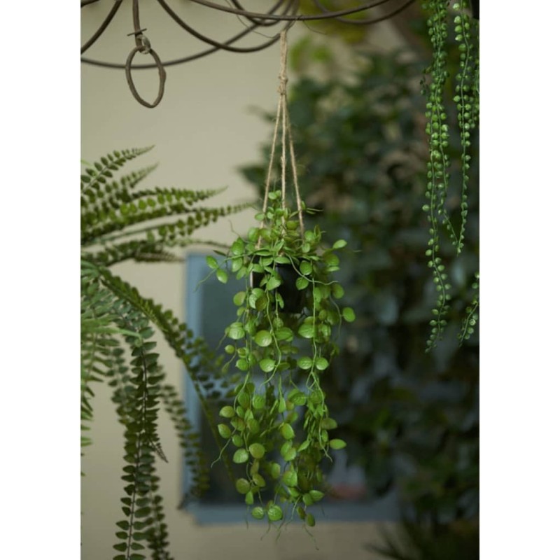 Emerald Ceropegia artificial colgante en maceta 50 cm Emerald Ceropegia artificial colgante en maceta 50 cm