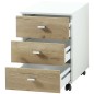 Germania Archivo con ruedas Altino roble Navarra blanco 40x48,9x56,9cm Germania Archivo con ruedas Altino roble Navarra blanco 40x48,9x56,9cm