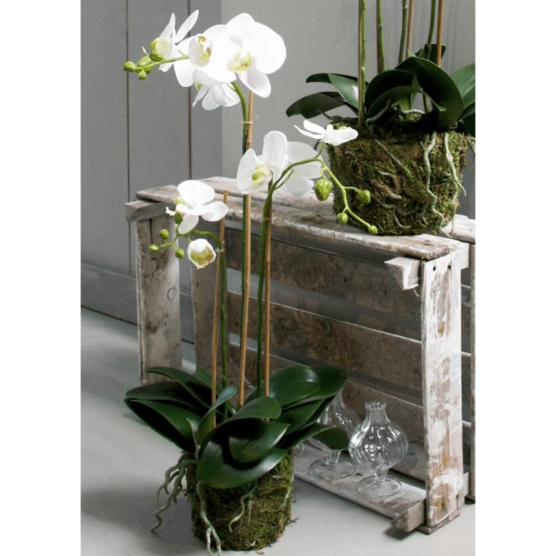 Emerald Orquídea mariposa artificial 70 cm blanca Emerald Orquídea mariposa artificial 70 cm blanca