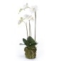 Emerald Orquídea mariposa artificial 70 cm blanca Emerald Orquídea mariposa artificial 70 cm blanca