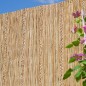 vidaXL Valla de ocultación de junco Carex 3x1,5 m vidaXL Valla de ocultación de junco Carex 3x1,5 m
