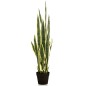 Emerald Sanseveria artificial con maceta de plástico 97 cm Emerald Sanseveria artificial con maceta de plástico 97 cm