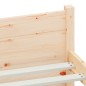 vidaXL Estructura de cama madera maciza 150x200 cm