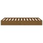 vidaXL Estructura de cama madera maciza marrón miel 100x200 cm vidaXL Estructura de cama madera maciza marrón miel 100x200 cm