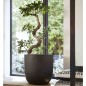 Capi Macetero Urban Smooth negro 35x34 cm KBL932 Capi Macetero Urban Smooth negro 35x34 cm KBL932