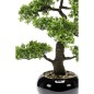 Emerald Mini bonsai artificial Ficus verde 47 cm 420006 Emerald Mini bonsai artificial Ficus verde 47 cm 420006