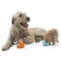 West Paw Juguete para perros con Zogoflex Tux naranja L West Paw Juguete para perros con Zogoflex Tux naranja L