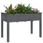 vidaXL Jardinera con forro madera maciza de abeto gris 118x59x76 cm vidaXL Jardinera con forro madera maciza de abeto gris 118x59x76 cm