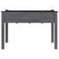 vidaXL Jardinera con forro madera maciza de abeto gris 118x59x76 cm vidaXL Jardinera con forro madera maciza de abeto gris 118x59x76 cm