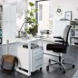 Germania Archivo con ruedas Gw-Monteria blanco Germania Archivo con ruedas Gw-Monteria blanco