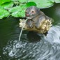 Ubbink Fuente de jardín con chorro y en forma de nutria Ubbink Fuente de jardín con chorro y en forma de nutria