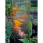 Ubbink Torre para peces 66 cm acrílico Ubbink Torre para peces 66 cm acrílico