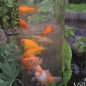 Ubbink Torre para peces 100 cm acrílico Ubbink Torre para peces 100 cm acrílico