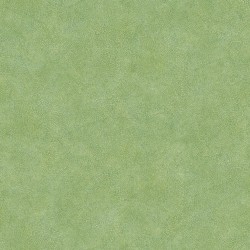 Noordwand Papel de pared Evergreen Leaf Veins verde