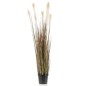 Emerald Hierba de la Pampa artificial en macetero plástico 120 cm Emerald Hierba de la Pampa artificial en macetero plástico 120 cm