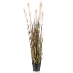 Emerald Hierba de la Pampa artificial en macetero plástico 120 cm