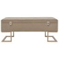 vidaXL Banco con compartimento 105 cm beige de terciopelo vidaXL Banco con compartimento 105 cm beige de terciopelo