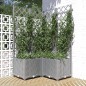 vidaXL Jardinera con enrejado PP gris claro 80x80x136 cm vidaXL Jardinera con enrejado PP gris claro 80x80x136 cm