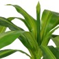 vidaXL Planta de drácena artificial con maceta 100 cm verde vidaXL Planta de drácena artificial con maceta 100 cm verde