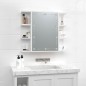 vidaXL Mueble con espejo y luces LED blanco 70x16,5x60 cm vidaXL Mueble con espejo y luces LED blanco 70x16,5x60 cm