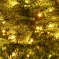 vidaXL Árbol de Navidad con luces y piñas PVC PE verde 150 cm vidaXL Árbol de Navidad con luces y piñas PVC PE verde 150 cm