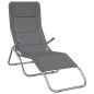vidaXL Tumbonas plegables 2 uds textilene acero con recubrimiento gris vidaXL Tumbonas plegables 2 uds textilene acero con recubrimiento gris