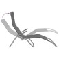 vidaXL Tumbonas plegables 2 uds textilene acero con recubrimiento gris vidaXL Tumbonas plegables 2 uds textilene acero con recubrimiento gris