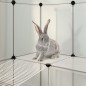 vidaXL Jaula de animales pequeños PP y acero transparente 142x74x93 cm